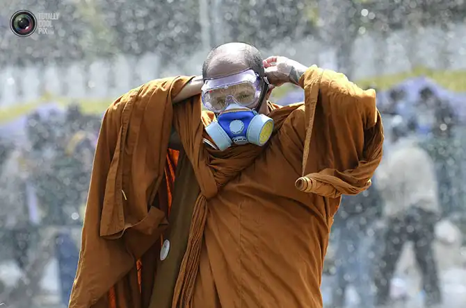 Неделя в фотографиях