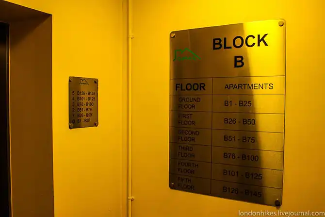 Как живут студенты в Лондоне