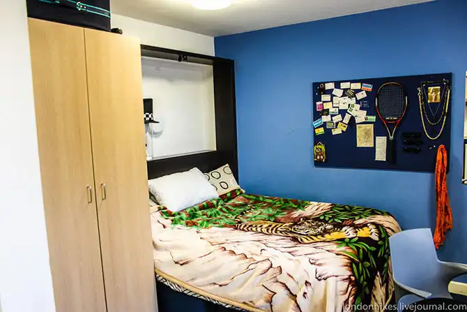 Как живут студенты в Лондоне