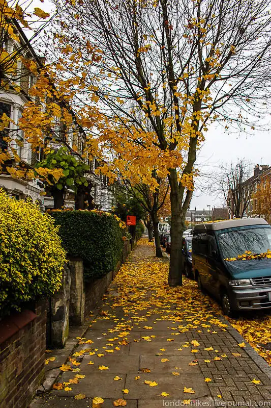 Как живут студенты в Лондоне