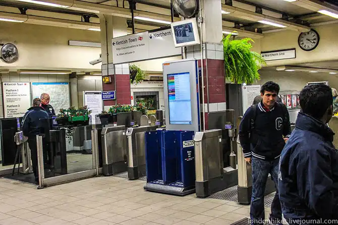 Как живут студенты в Лондоне