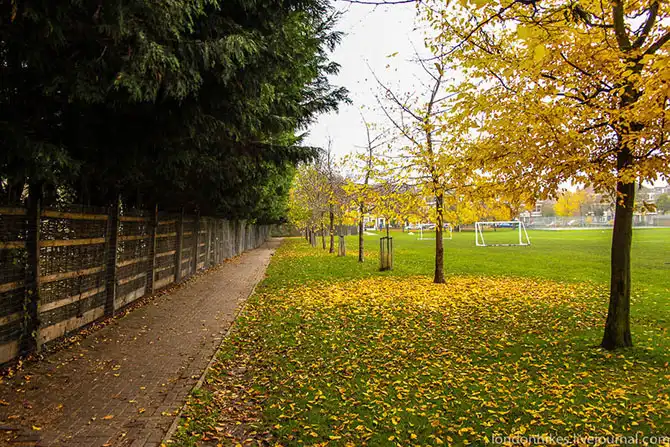 Как живут студенты в Лондоне