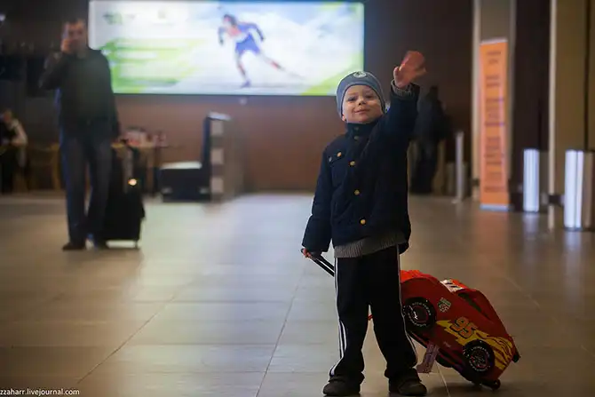 Как работает кинологическая служба аэропорта Кольцово