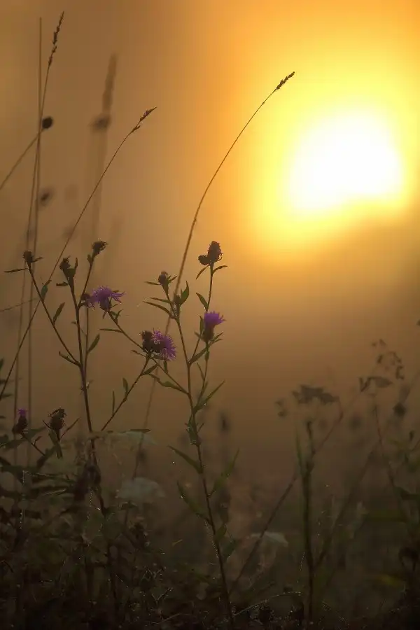 Край, где живут облака