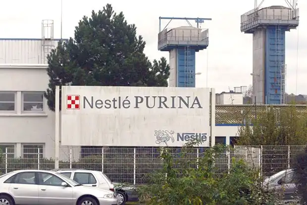 Лучшие работодатели мира