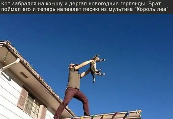 Прикольные картинки абавсём:D (17.12.13)