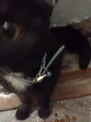 Срочно нужен куратор