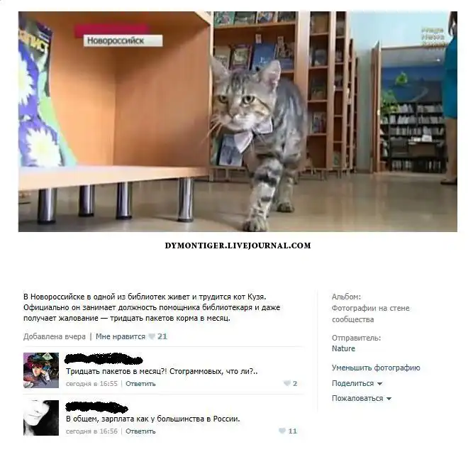 Смешные комментарии из социальных сетей