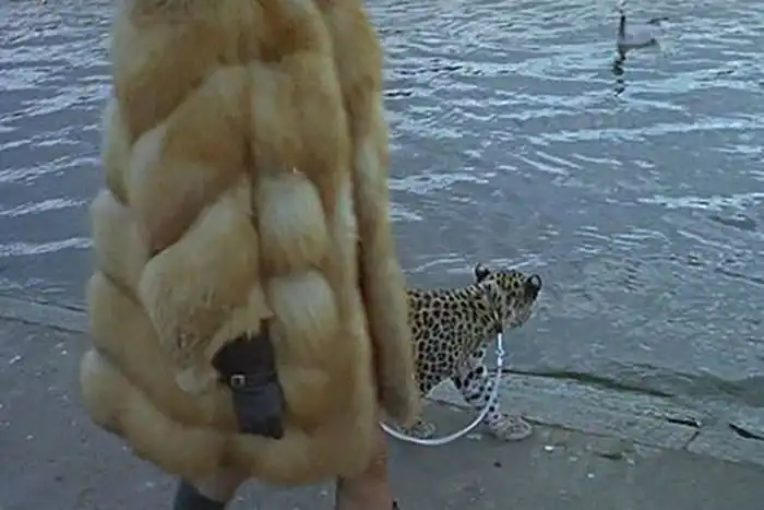 Прикольные картинки абавсём:D (19.12.13)