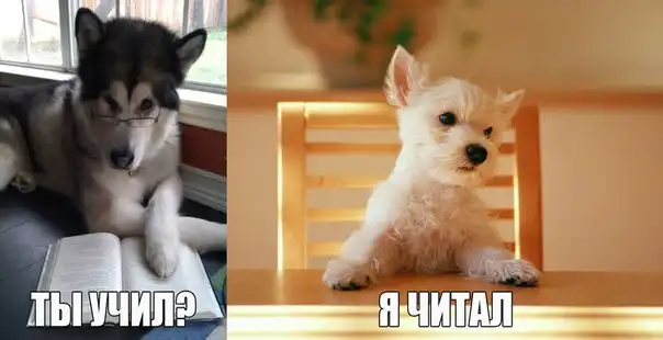 Трешовые картинки абавсём (20.12.13)