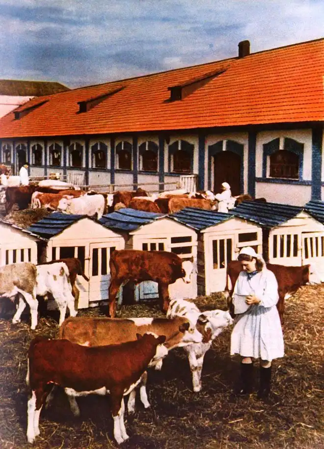 Красные аватары Украины из журнала «Огонек» (1950-61)