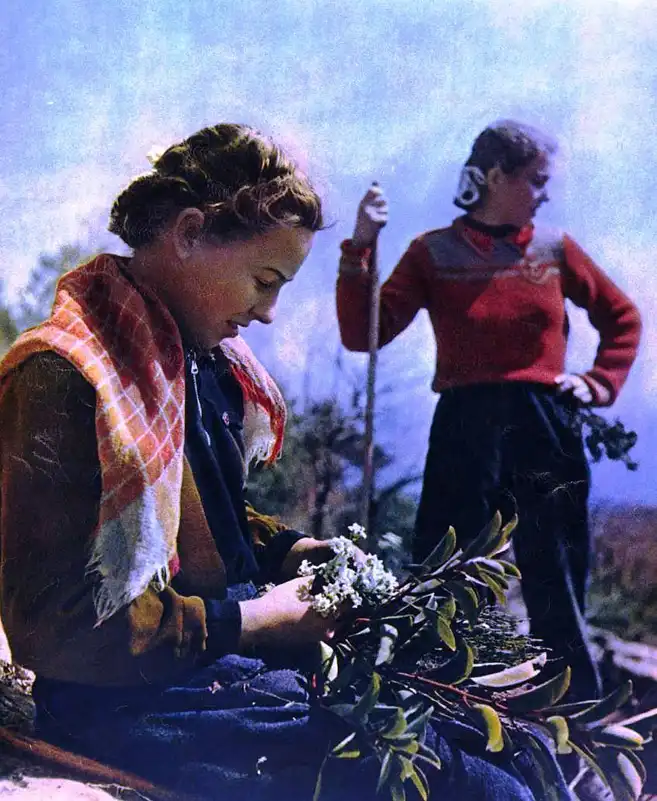 Красные аватары Украины из журнала «Огонек» (1950-61)