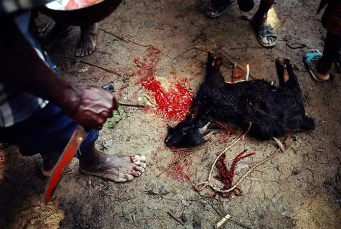 9 удивительных фактов про культ вуду