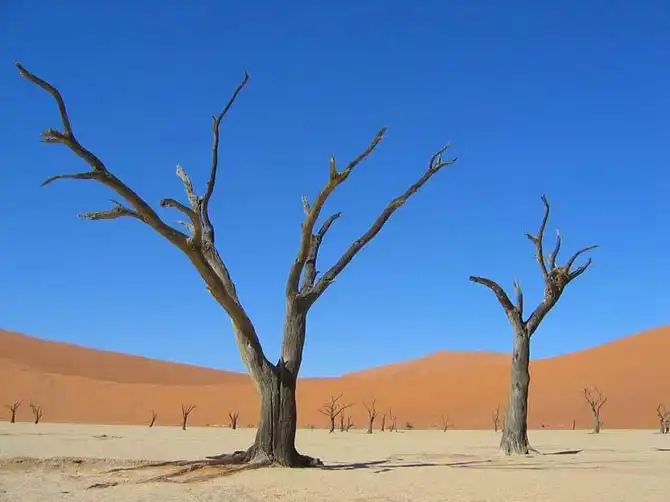 Сюрреалистический парк Намиб-Науклуфт