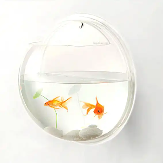 Самые оригинальные идеи подарков для родных и близких