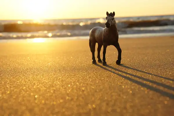 Почему  я спрашиваю об этом?