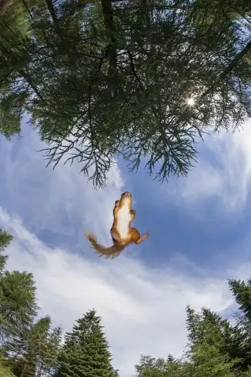 Фотографии животных за неделю