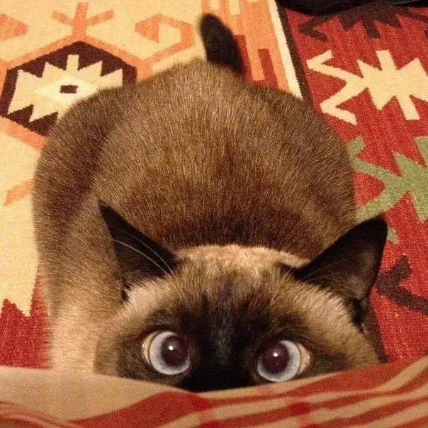 Отфотошопте меня