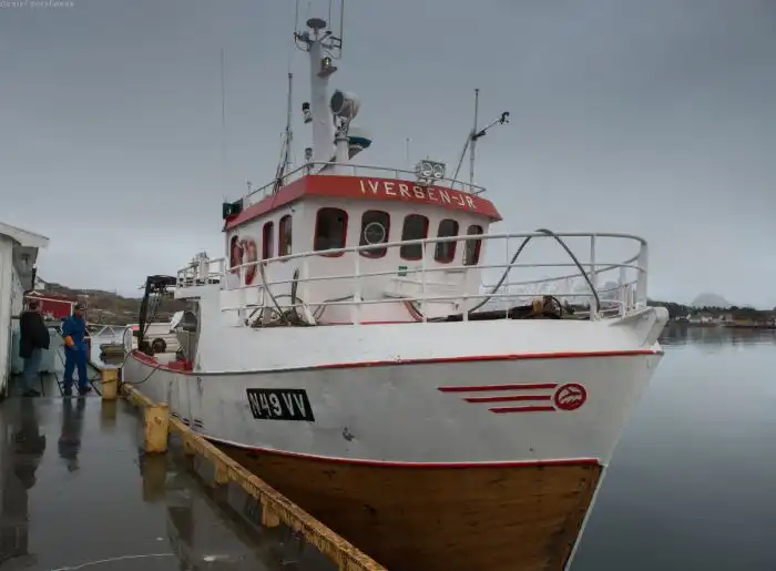 Куда уплывает российская треска