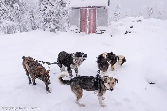 Быт буддийского монастыря на Урале