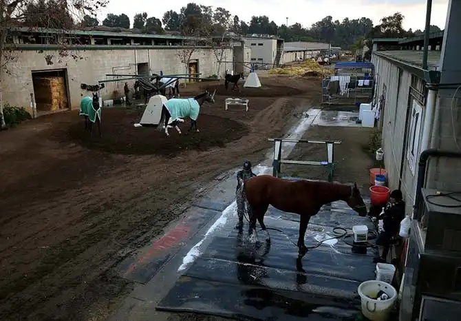 Последние дни ипподрома в Лос-Анджелесе