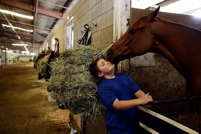 Последние дни ипподрома в Лос-Анджелесе