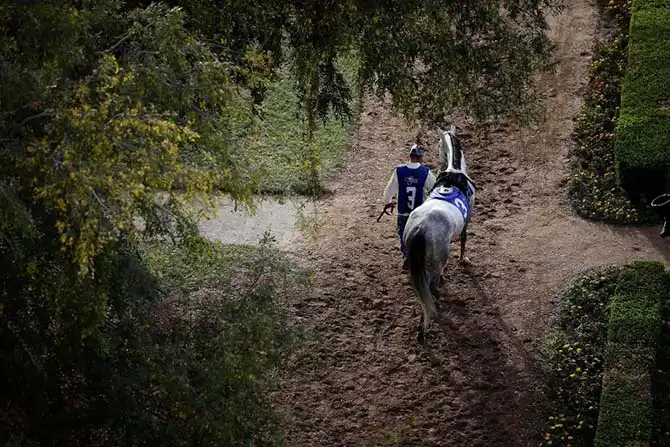 Последние дни ипподрома в Лос-Анджелесе