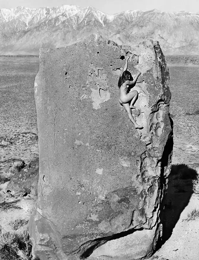 Лучшие календари на 2014 год