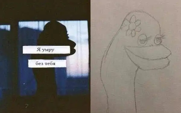 Картинок-комиск-миск