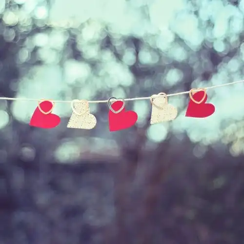 Соляночка =З