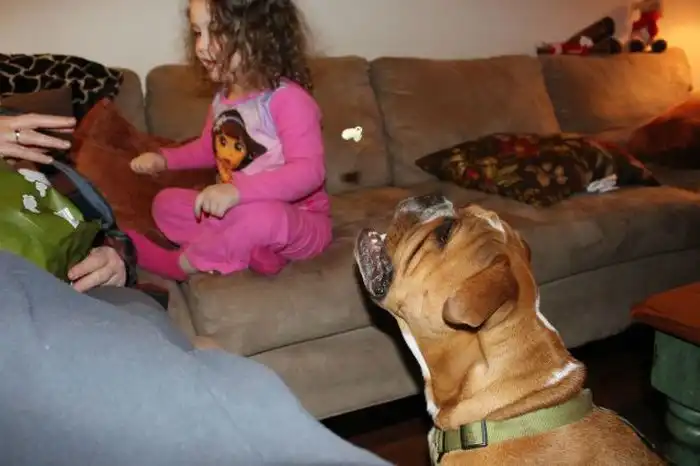 В нужный момент. Часть 31