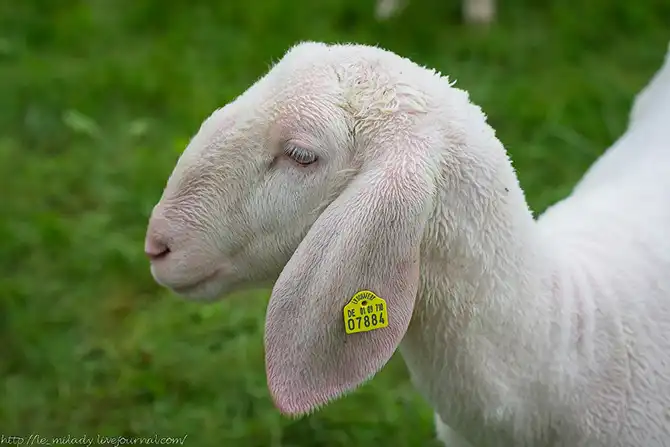 12 поводов поехать в Баварию