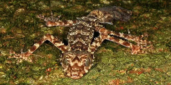 4 природных чуда, обнаруженные этой осенью