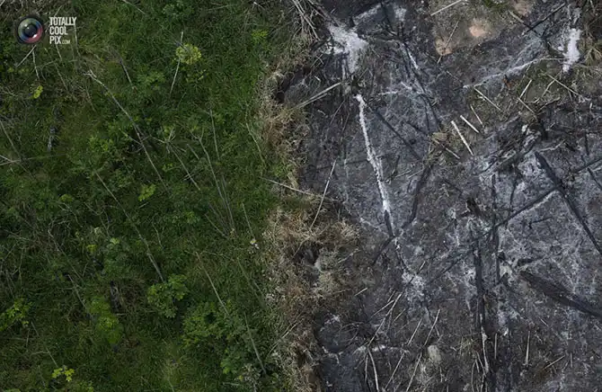 Уничтожение дождевых лесов Амазонии