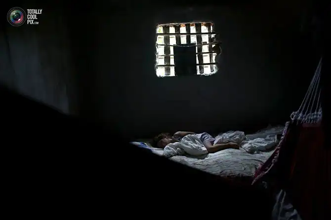 Уничтожение дождевых лесов Амазонии