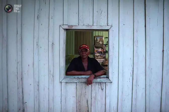 Уничтожение дождевых лесов Амазонии