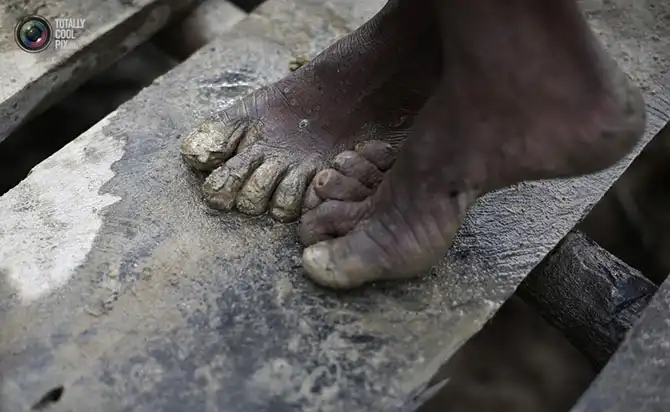 Уничтожение дождевых лесов Амазонии