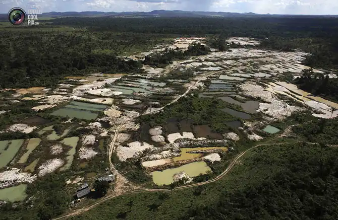 Уничтожение дождевых лесов Амазонии