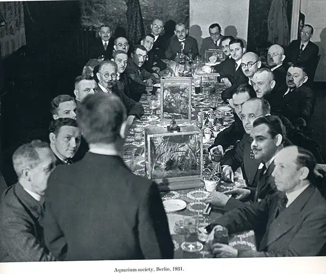 Германия 1928-1934 года в объективе Альфреда Эйзенштадта