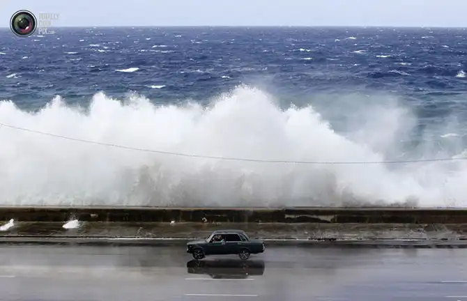 Неделя в фотографиях