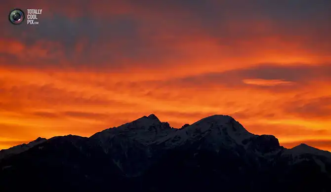 Неделя в фотографиях