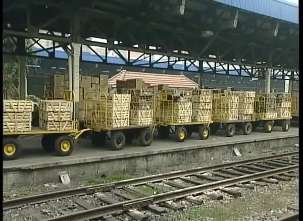 Как китайцы едят кошек