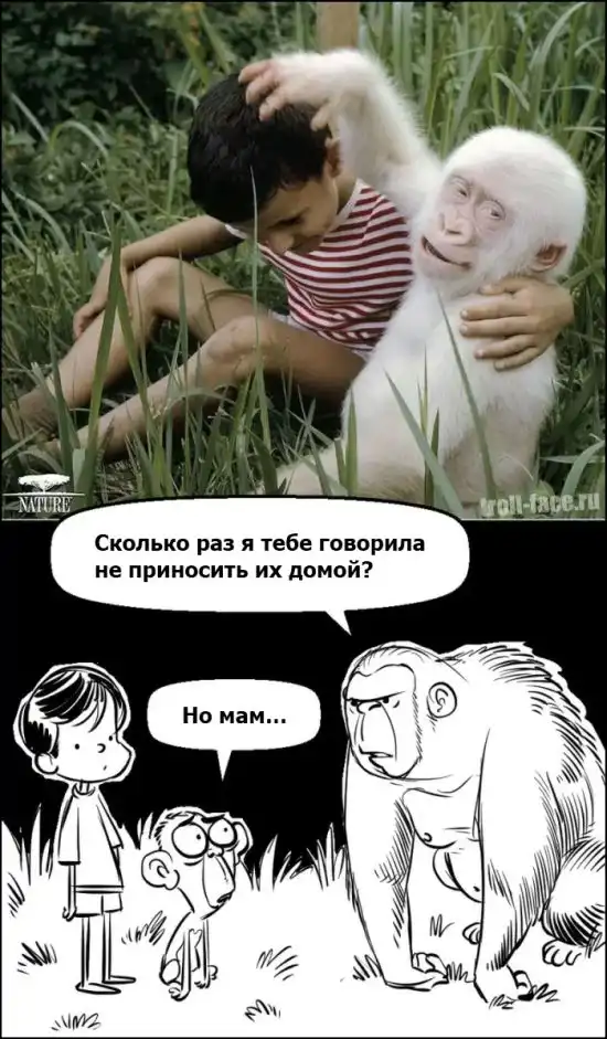 Веселые комиксы (05.12.13)