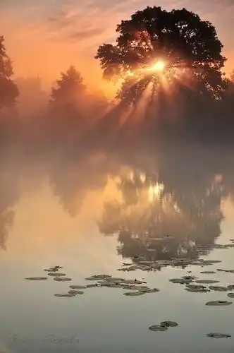 Соляночка =З