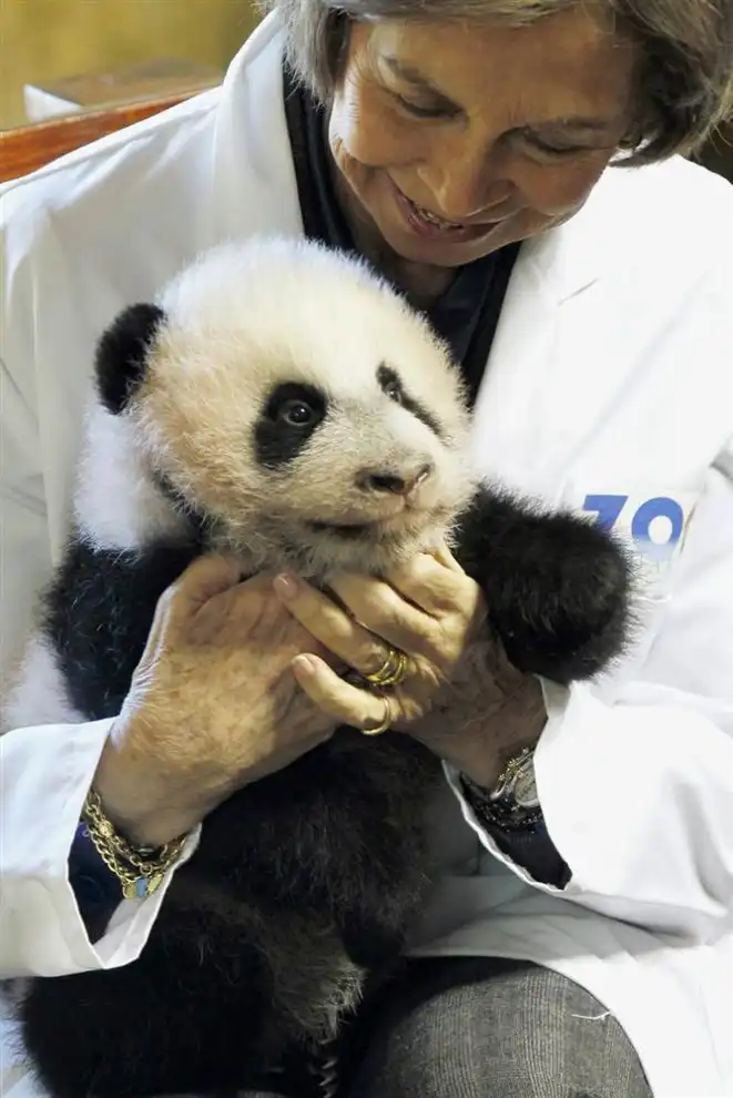 В мире животных