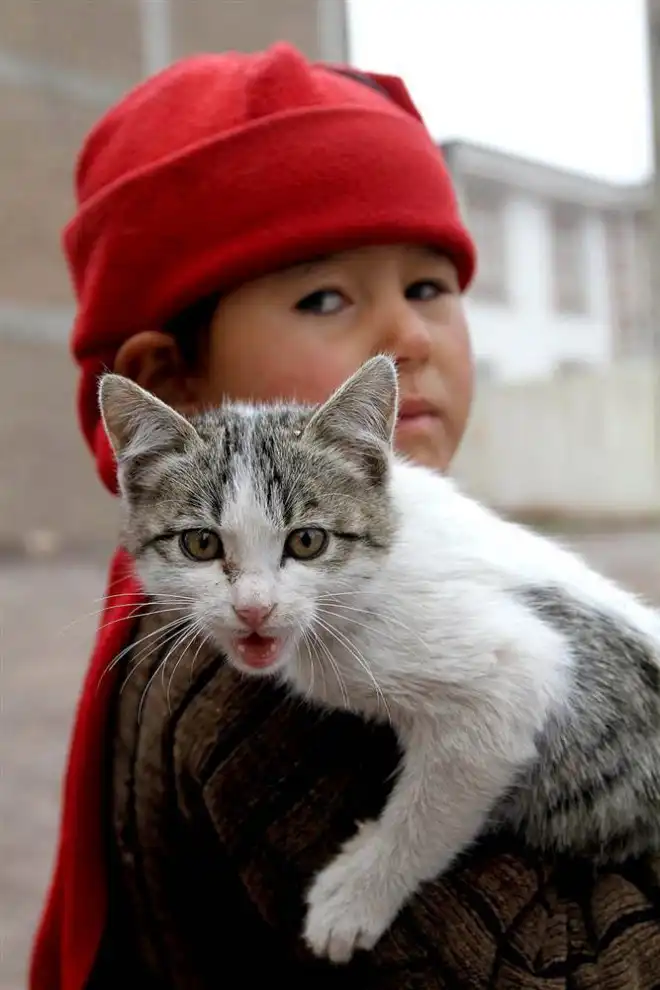 В мире животных