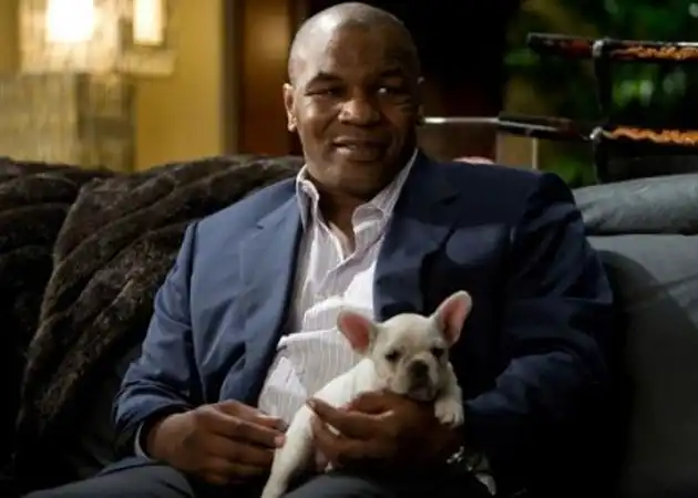 Камео — эпизодическая роль известных людей