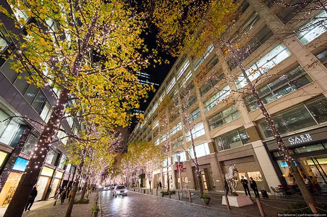 Прогулка по Токио