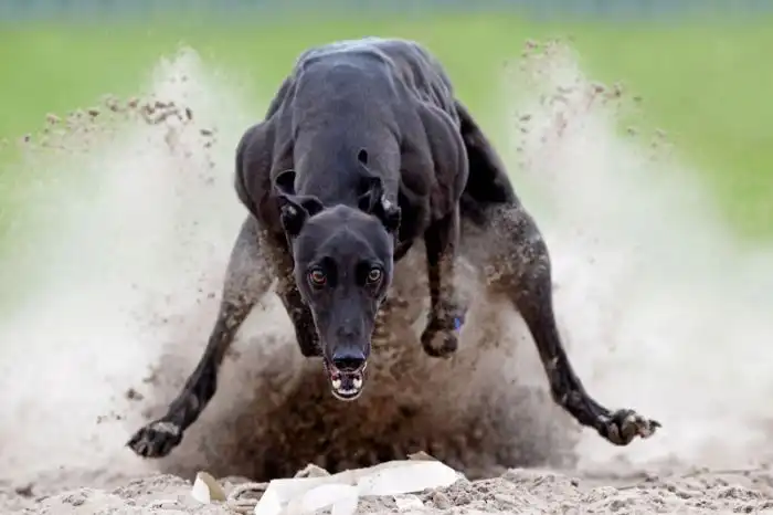 Прикольные картинки абавсём (12.02.13)