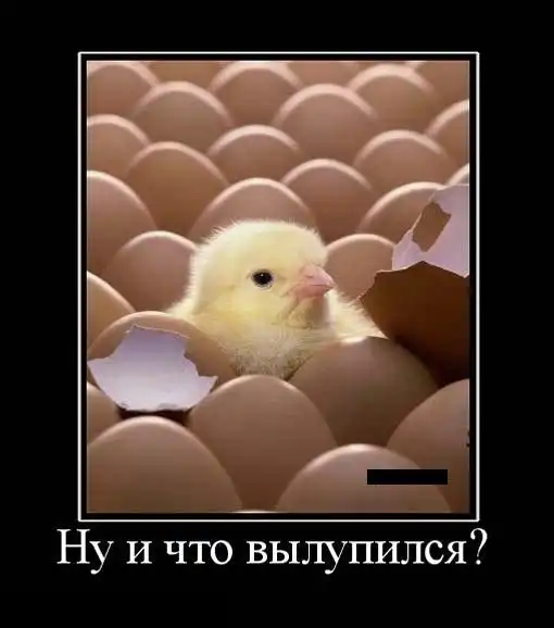 Картинки в черной рамке